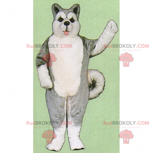 Mascota animal del témpano de hielo - Grey Husky