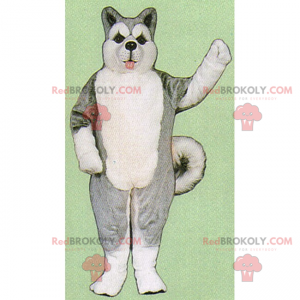 Mascotte animale lastrone di ghiaccio - Grey Husky -