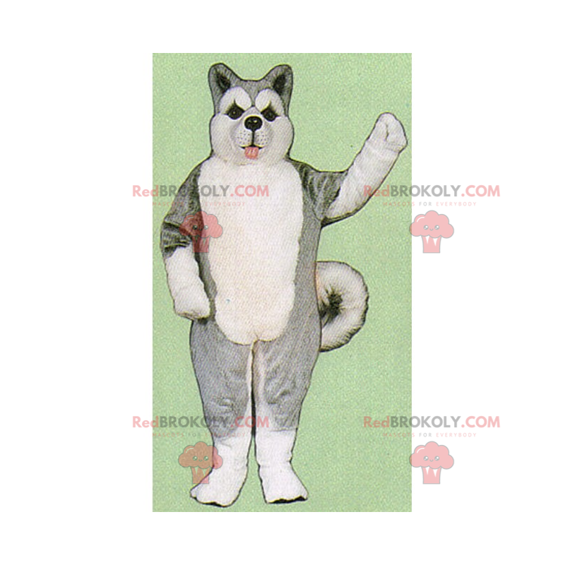 Eisschollen Tier Maskottchen - Grey Husky - Redbrokoly.com