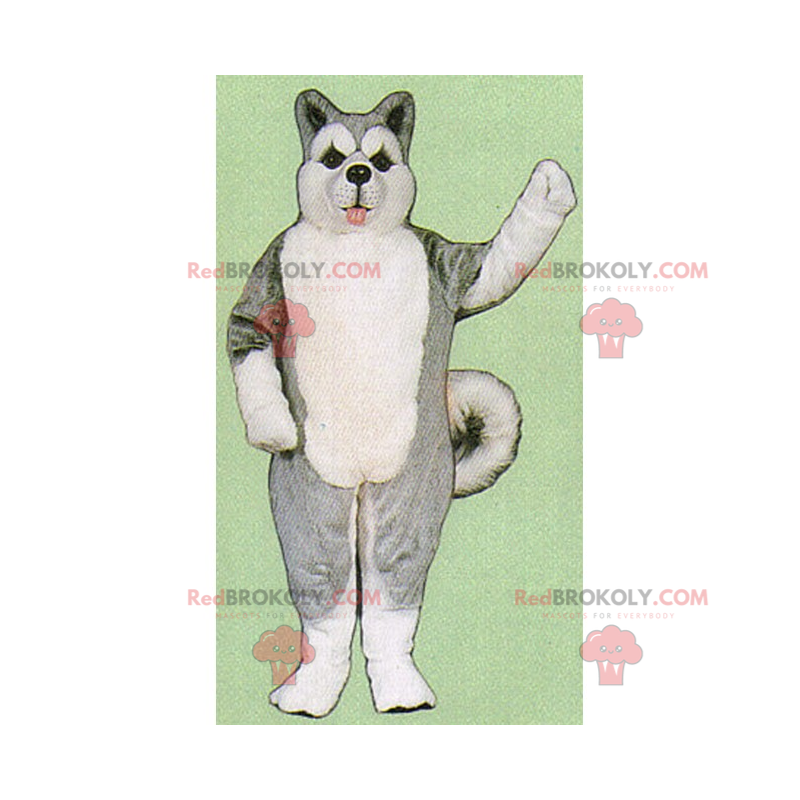 Mascote animal de bloco de gelo - Husky Cinzento -