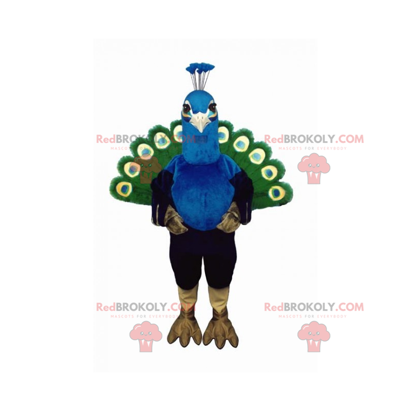 Farm animal mascot - Peacock - Redbrokoly.com
