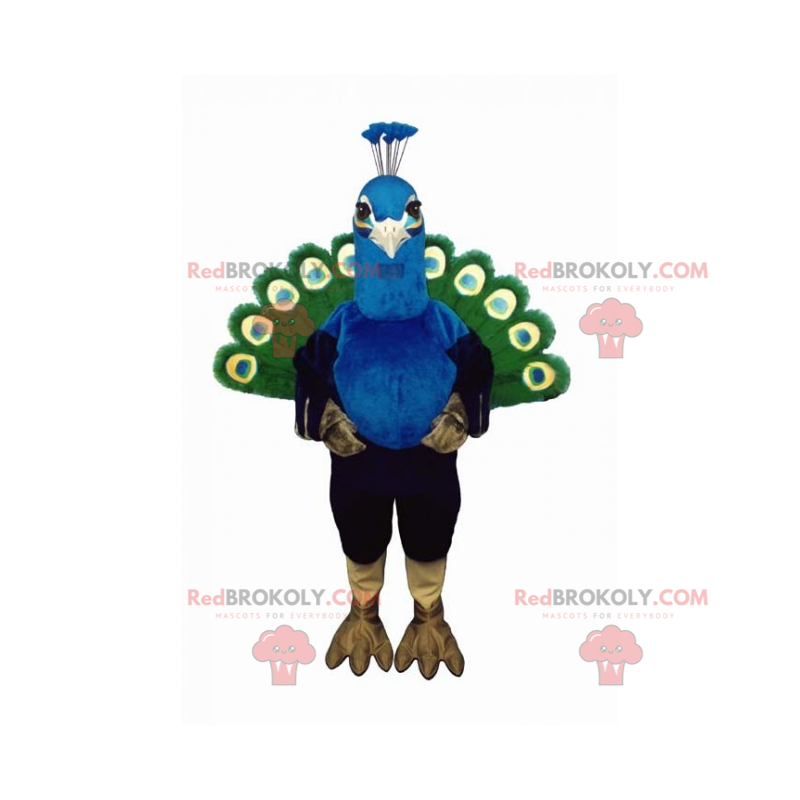 Nutztier Maskottchen - Pfau - Redbrokoly.com