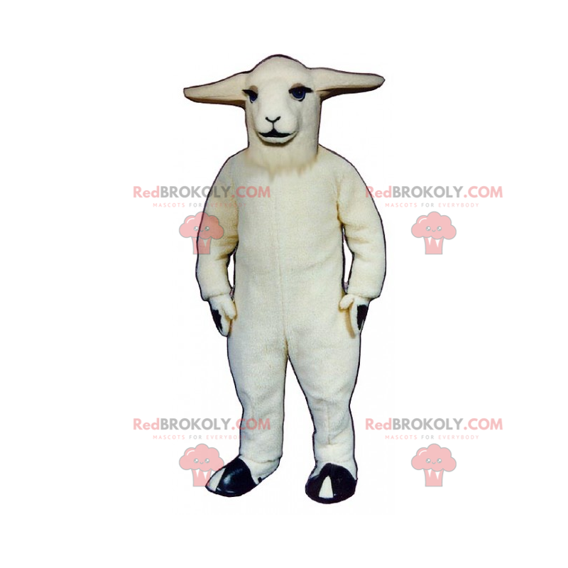 Mascote de animal de fazenda - Ovelha - Redbrokoly.com