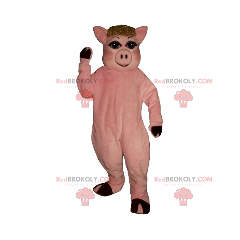 Gårdsmaskot - Gris med en rund näsa - Redbrokoly.com Gårdsmaskot - Gris med en rund näsa - Redbrokoly.com
