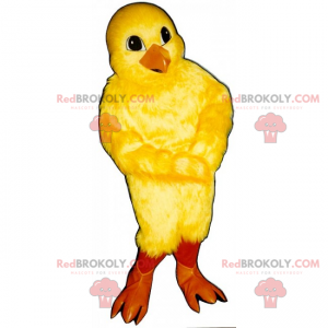 Farm animal mascot - Chick - Redbrokoly.com