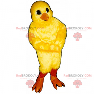 Mascota animal de granja - Pollito - Redbrokoly.com