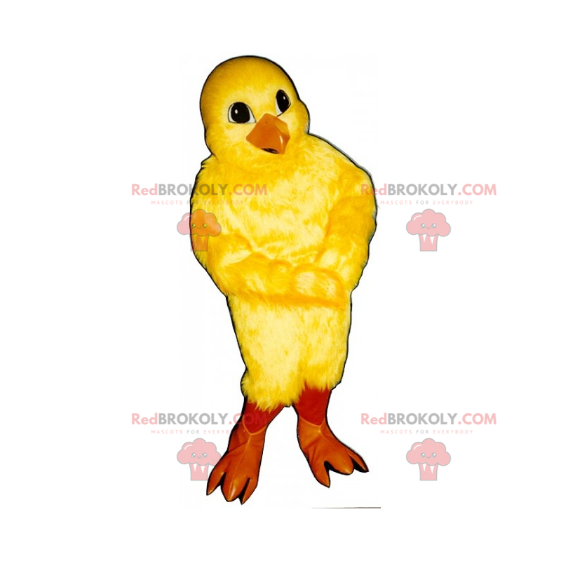 Mascote de animal de fazenda - Chick - Redbrokoly.com