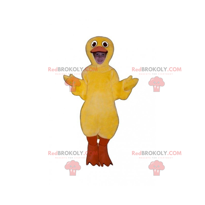 Husdyr maskot - gul kylling - Redbrokoly.com