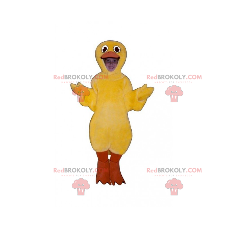 Mascotte animaux de la ferme - Poussin jaune - Redbrokoly.com Mascotte animaux de la ferme - Poussin jaune - Redbrokoly.com