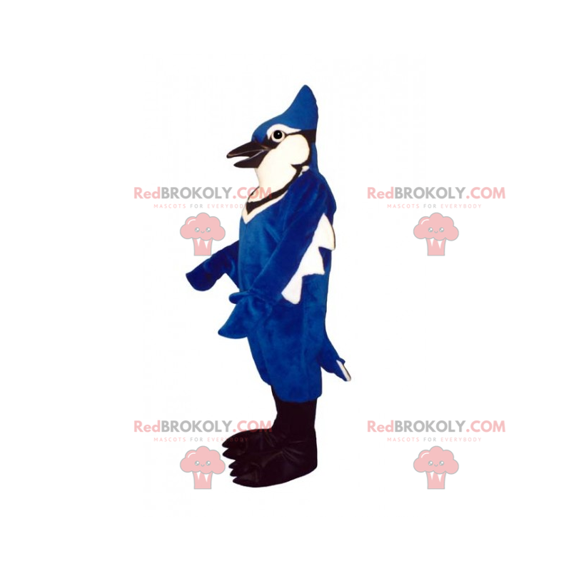 Mascote animal da selva - papagaio azul - Redbrokoly.com