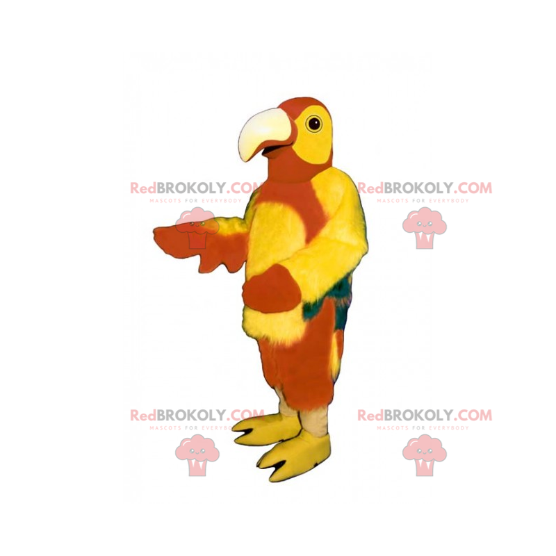 Mascotte animale della giungla - pappagallo multicolore - Mascotte animale della giungla - pappagallo multicolore -