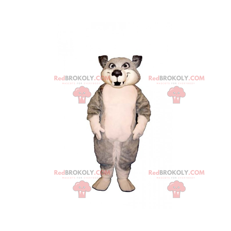 Mascote animal da montanha - lobo bebê - Redbrokoly.com