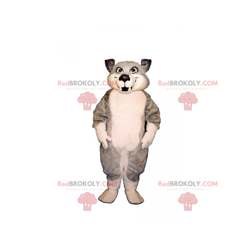 Mascotte animaux de la montagne - Bébé loup - Redbrokoly.com Mascotte animaux de la montagne - Bébé loup - Redbrokoly.com