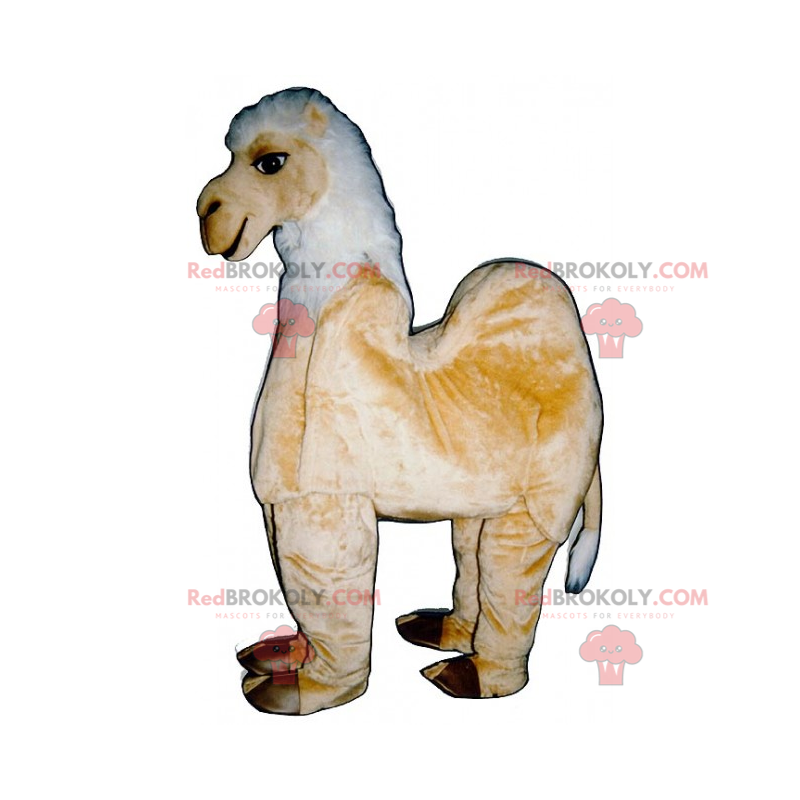 Mascote animal da savana - camelo - Redbrokoly.com