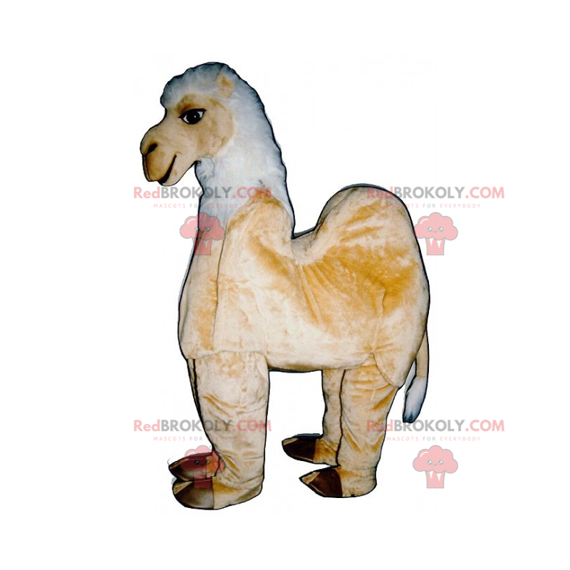 Mascotte animale Savannah - Camel - Redbrokoly.com