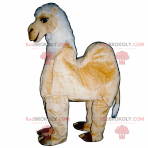 Mascote animal da savana - camelo - Redbrokoly.com