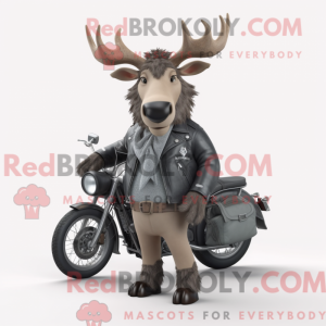 Gray Irish Elk mascot...