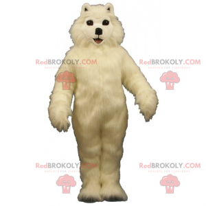 Haustier Maskottchen - Bichon Maltais - Redbrokoly.com