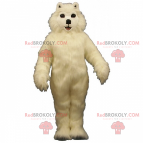 Mascota de mascotas - Bichon Maltais - Redbrokoly.com