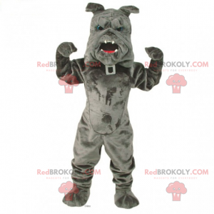 Husdjursmaskot - Bulldog med krage - Redbrokoly.com