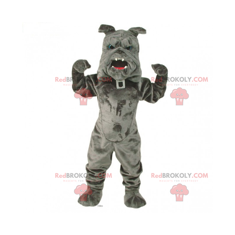 Pets mascot - Bulldog with collar - Redbrokoly.com