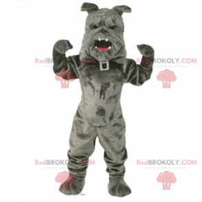 Mascotte van huisdieren - Bulldog met kraag - Redbrokoly.com