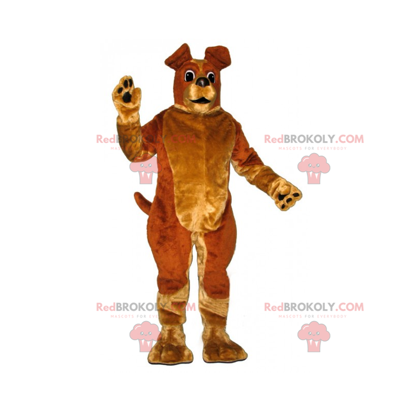 Maskot zvířat - pes s velkýma ušima - Redbrokoly.com Maskot zvířat - pes s velkýma ušima - Redbrokoly.com