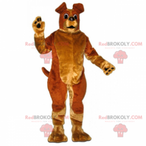 Husdjursmaskot - Hund med stora öron - Redbrokoly.com