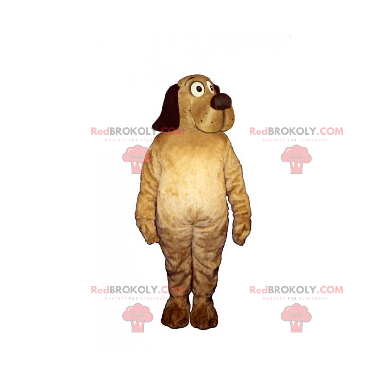 Pets mascot - dog with a nice muzzle - Redbrokoly.com