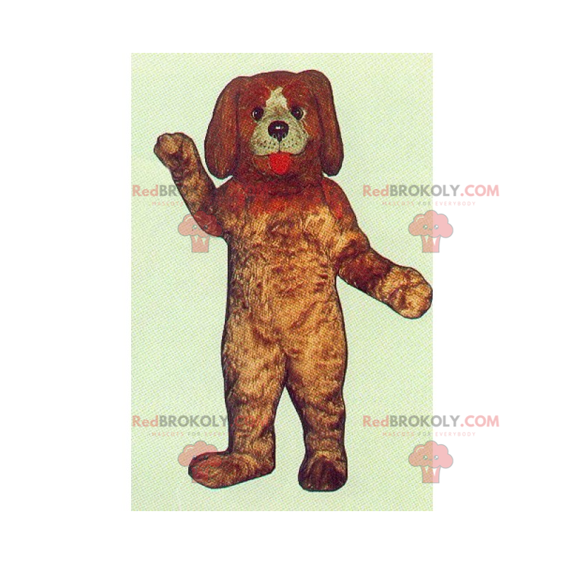 Husdjursmaskot - Hund med långa öron - Redbrokoly.com
