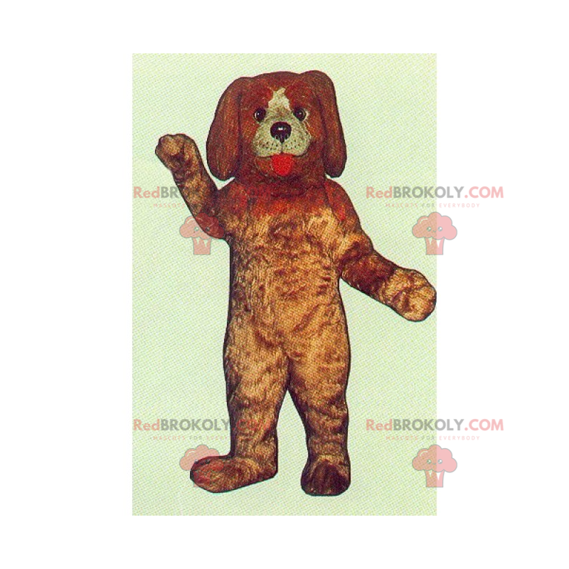 Maskot mazlíčků - pes s dlouhými ušima - Redbrokoly.com Maskot mazlíčků - pes s dlouhými ušima - Redbrokoly.com