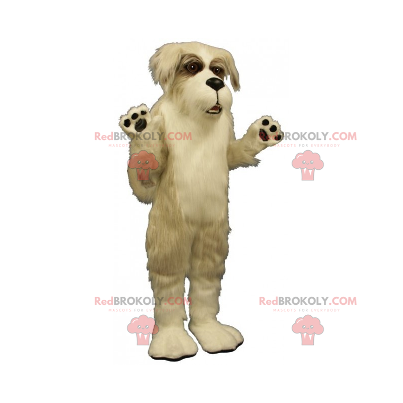 Haustier Maskottchen - Foxterrier - Redbrokoly.com