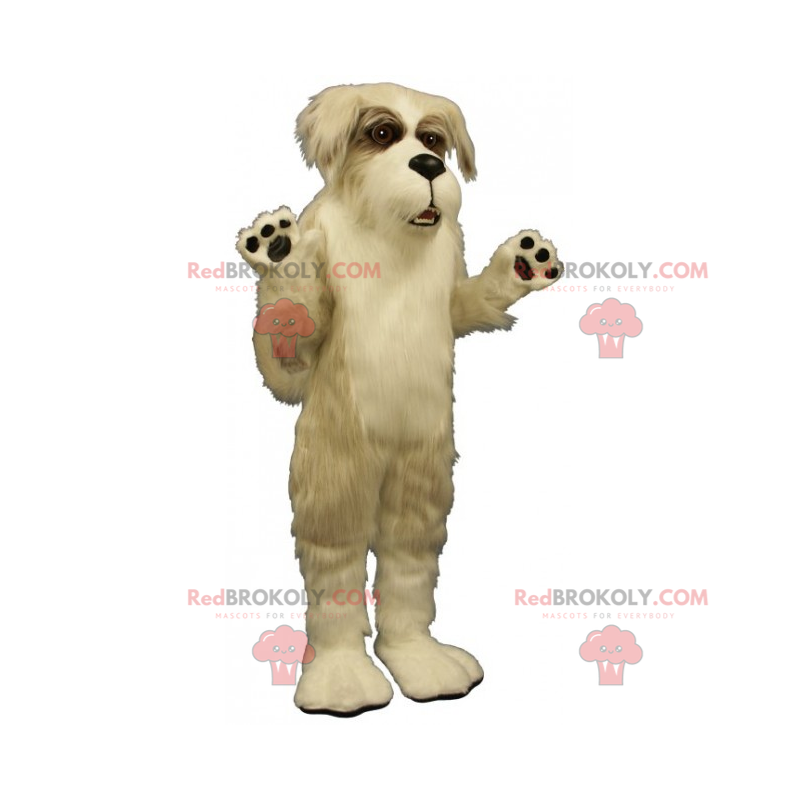 Kæledyrs maskot - Fox Terrier - Redbrokoly.com