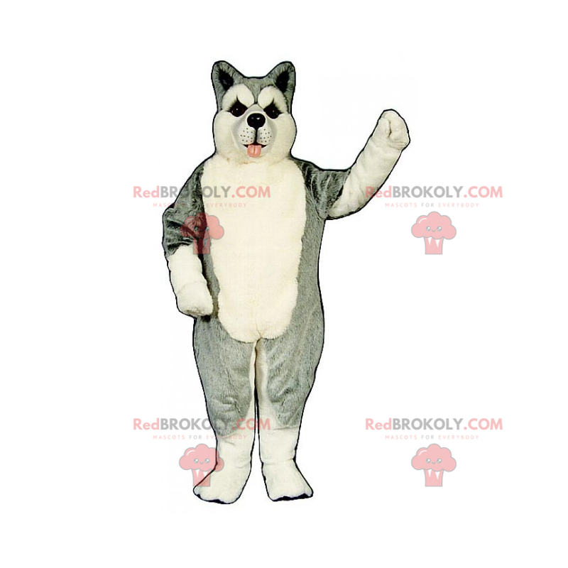 Haustier Maskottchen - Husky - Redbrokoly.com