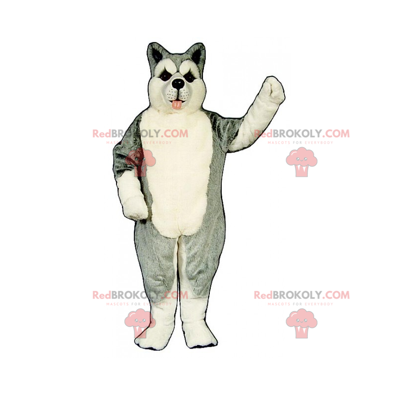 Mascote de animais de estimação - Husky - Redbrokoly.com
