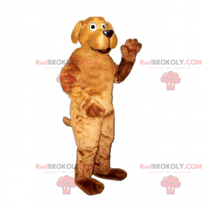 Mascote de animais de estimação - Labrador - Redbrokoly.com
