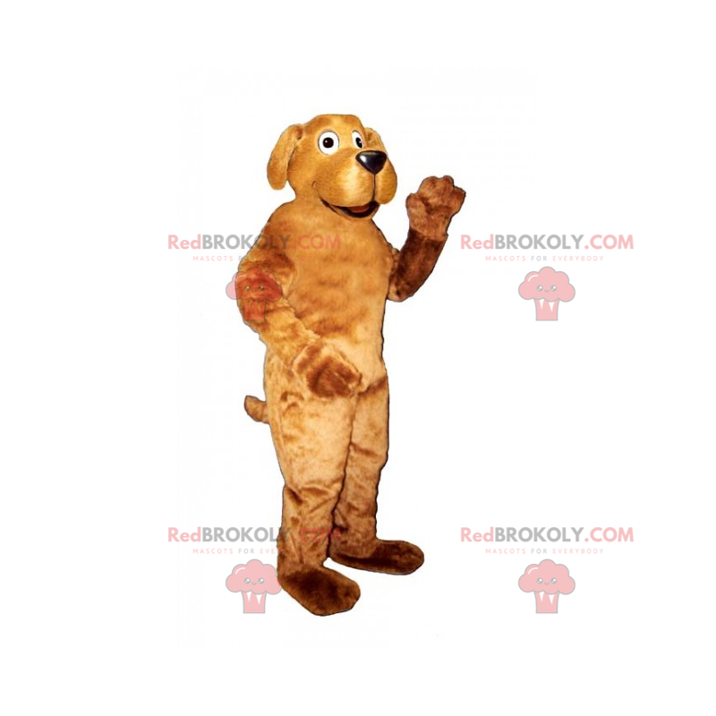 Kjæledyrsmaskot - Labrador - Redbrokoly.com