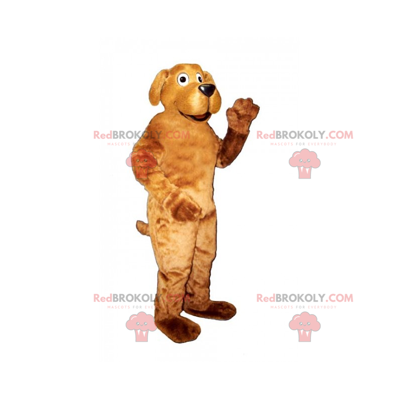 Mascotte di animali domestici - Labrador - Redbrokoly.com