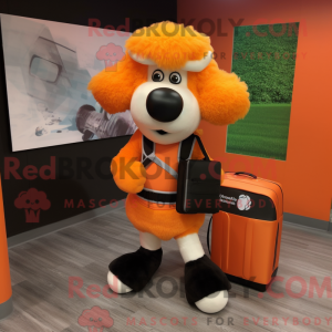 Oranje Suffolk Sheep...