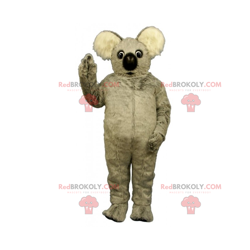 Wild animal mascot - Soft Koala - Redbrokoly.com
