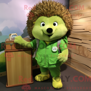 Lime Green Hedgehog...