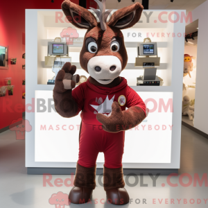 Maroon Donkey...