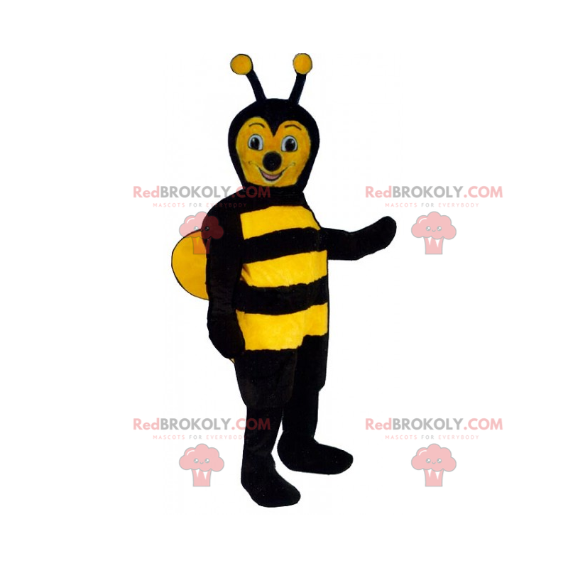 Soft coat bee mascot - Redbrokoly.com