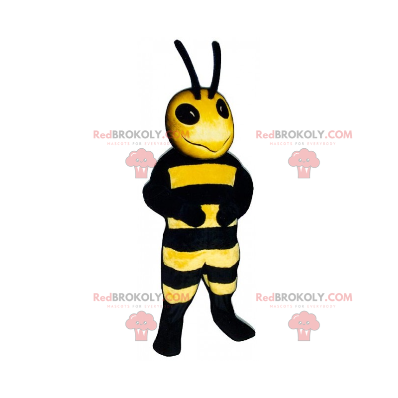 Bee mascot with long antennae - Redbrokoly.com