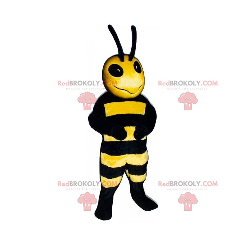 Bienenmaskottchen mit langen Antennen - Redbrokoly.com
