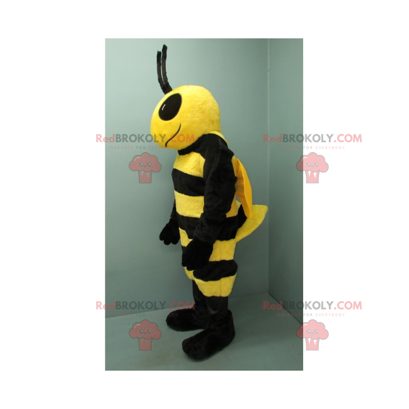 Mascota de abeja negra y amarilla con grandes ojos negros - Mascota de abeja negra y amarilla con grandes ojos negros -
