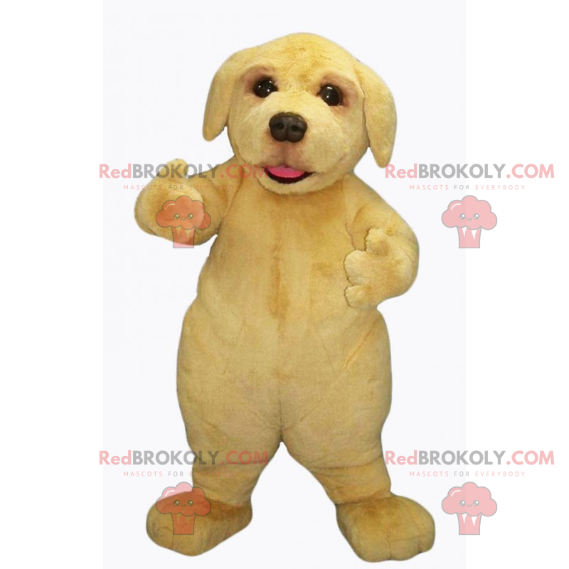 Adorável mascote bebê labrador - Redbrokoly.com