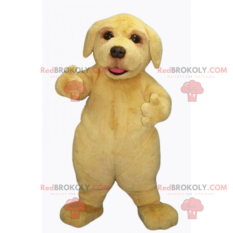 Mascotte d'adorable bébé labrador - Redbrokoly.com
