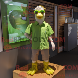 Limegrøn Moscovy Duck...