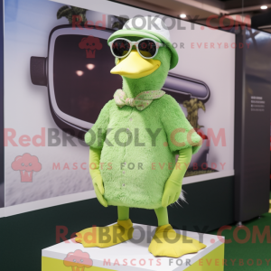 Limegrøn Moscovy Duck...